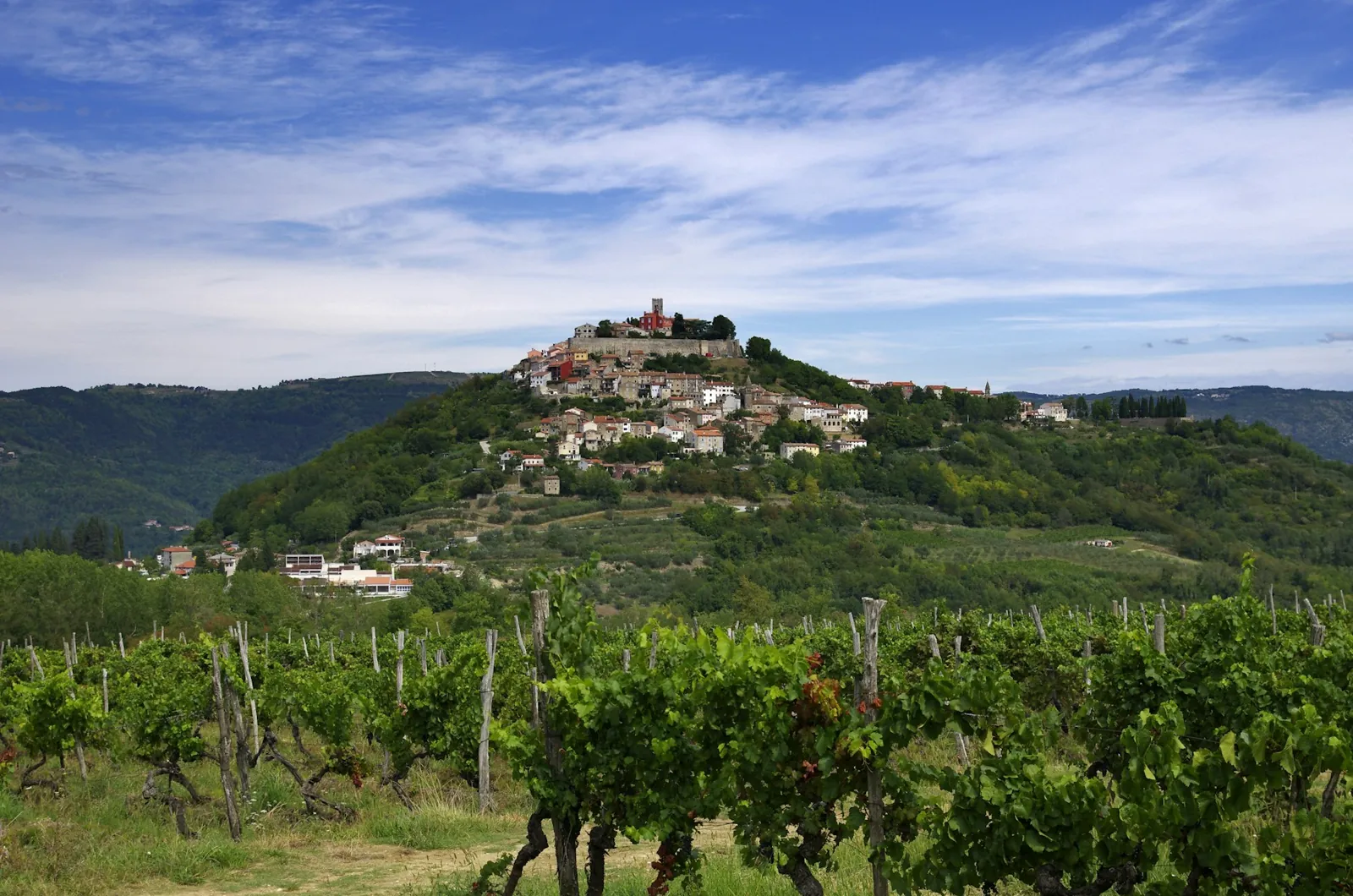 Motovun på sin kulle